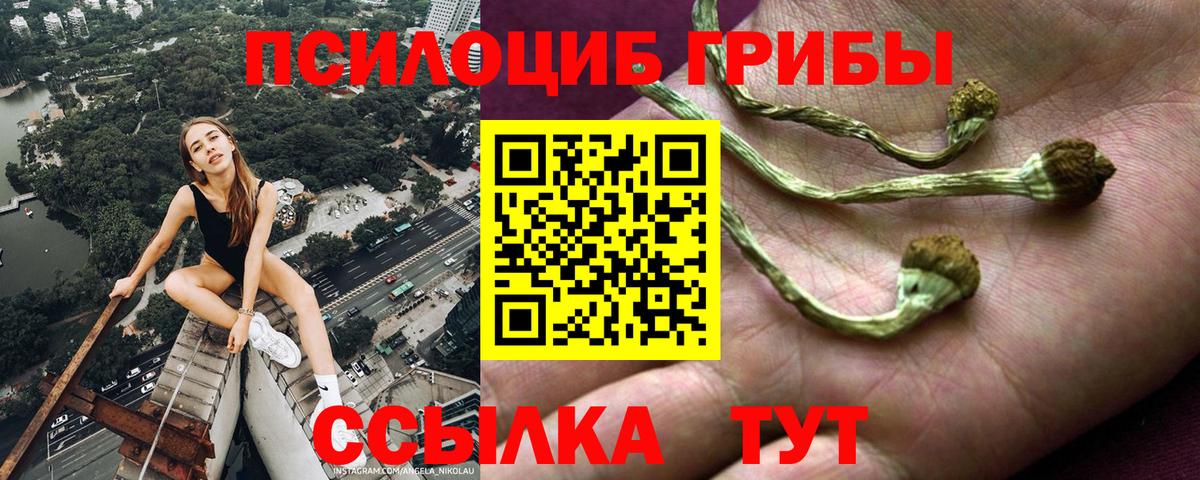 даркнет сайт  Псилоцибиновые грибы мухоморы  Псилоцибиновые грибы Psilocybine cubensis  Вход с VPN  Ржев 