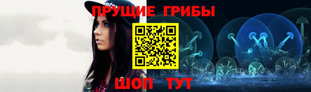 Псилоцибиновые грибы Psilocybine cubensis Ржев